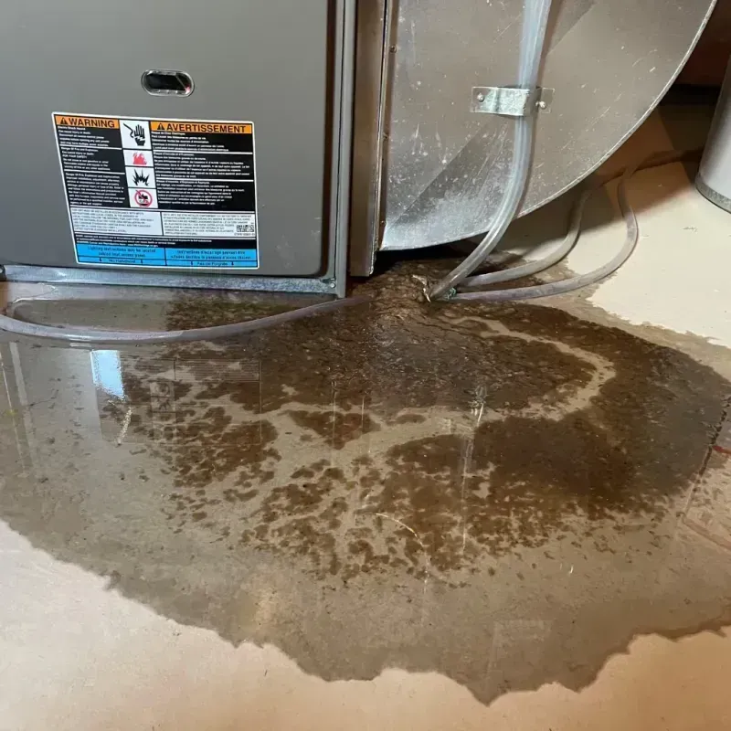 Appliance Leak Cleanup in Valley Springs, CA